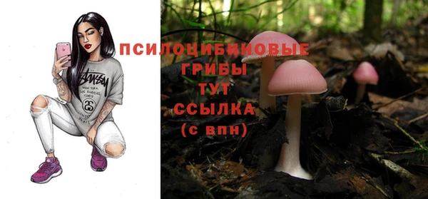 МДПВ Алзамай