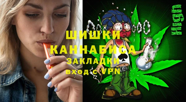 МДПВ Алзамай