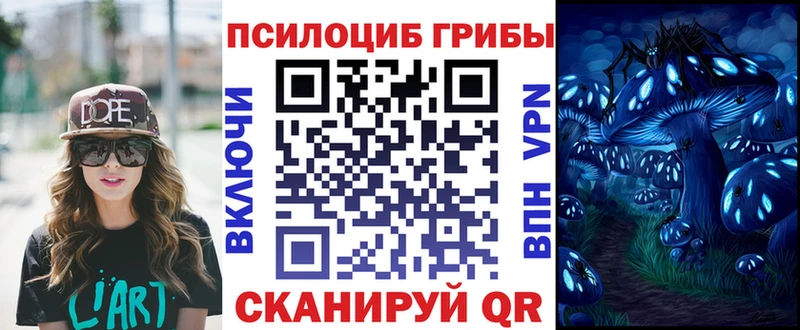Псилоцибиновые грибы GOLDEN TEACHER Новороссийск